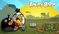 /album/galeria-de-fotos-camisetas/angry-4-jpg/